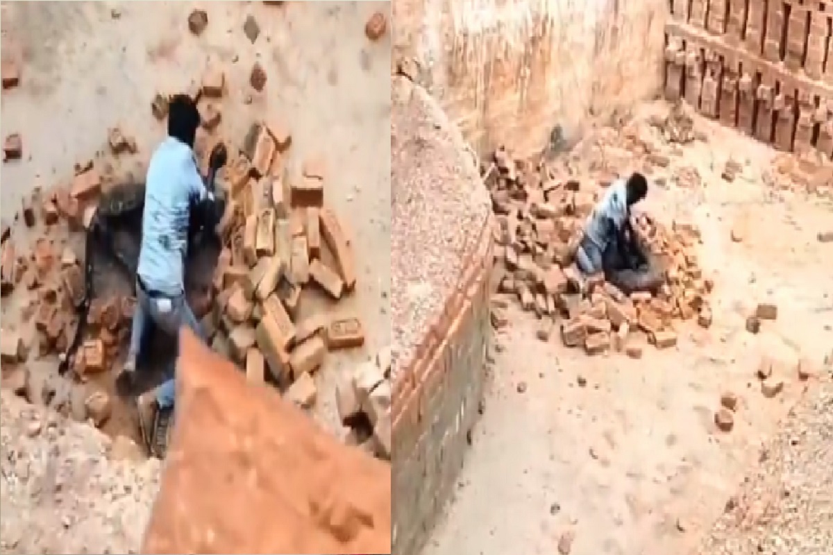 Viral Video: तेंदुए से भिड़ा ईंट भट्ठे का मजदूर, संघर्ष का वीडियो हुआ वायरल, देखकर हैरान हो जाएंगे आप