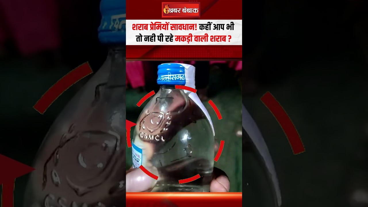 CG Liquor News: शराब प्रेमियों सावधान! कहीं आप भी तो नही पी रहे मकड़ी वाली शराब?