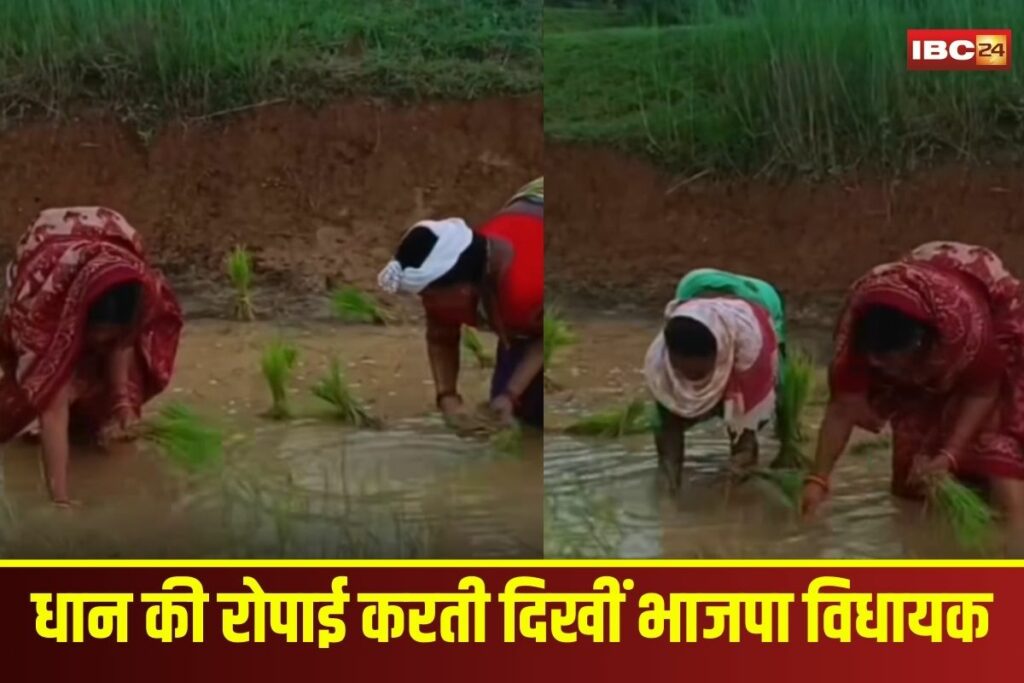 BJP MLA Viral Video,Balrampur news, Uddheshwari Paikra,