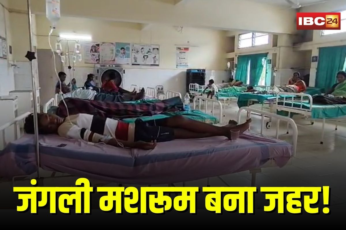 Balodanazar News: जंगली मशरूम खाने से एक ही परिवार के 9 लोग बीमार, सभी अस्पताल में भर्ती, हालत गंभीर