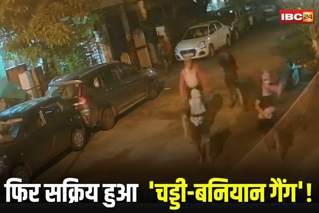 Bhopal theft, Vitthal Nagar burglary, Lalghati crime, masked thieves, Bhopal crime news, house robbery, CCTV footage, Chaddi Baniyan gang, night theft Bhopal, Bhopal police action,