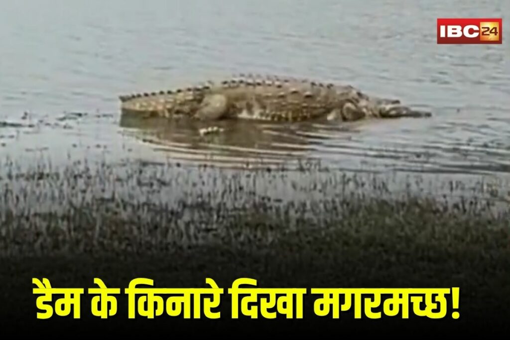 Bhopal Viral Video | Image Source | IBC24