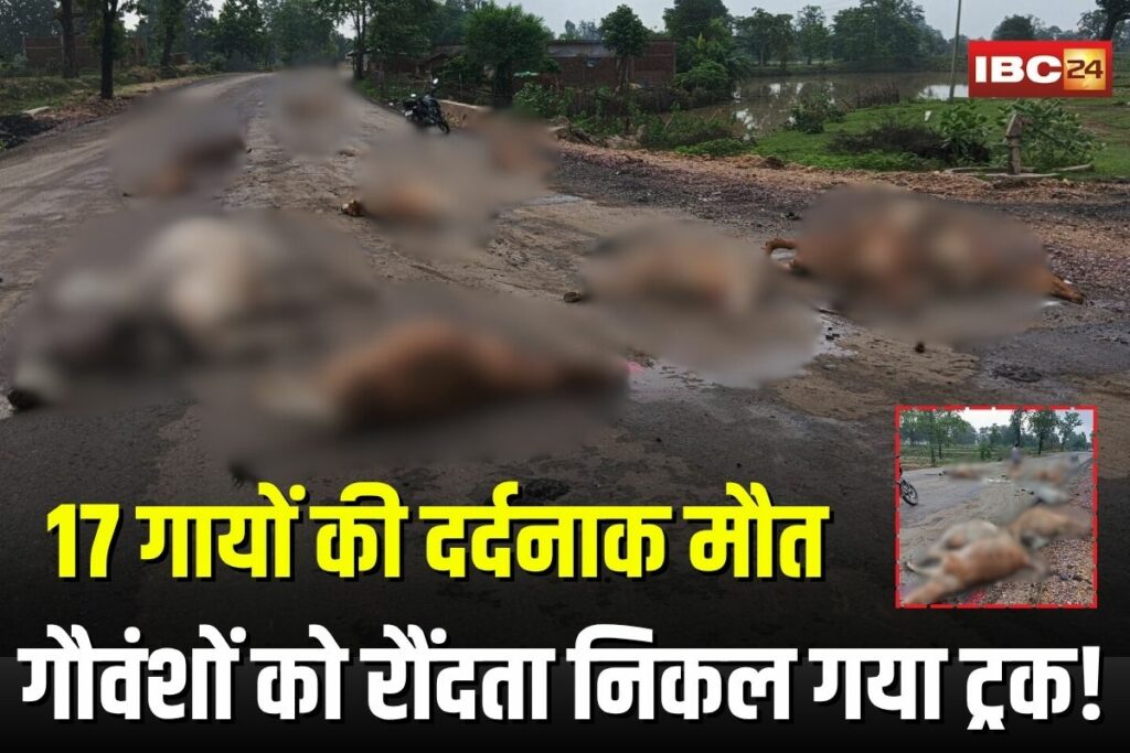 Bilaspur Accident News, Bilaspur cow accident, Gaumata road accident, speeding vehicle kills cows, Ratanpur cow death, Baridih village incident, stray cattle accident,
