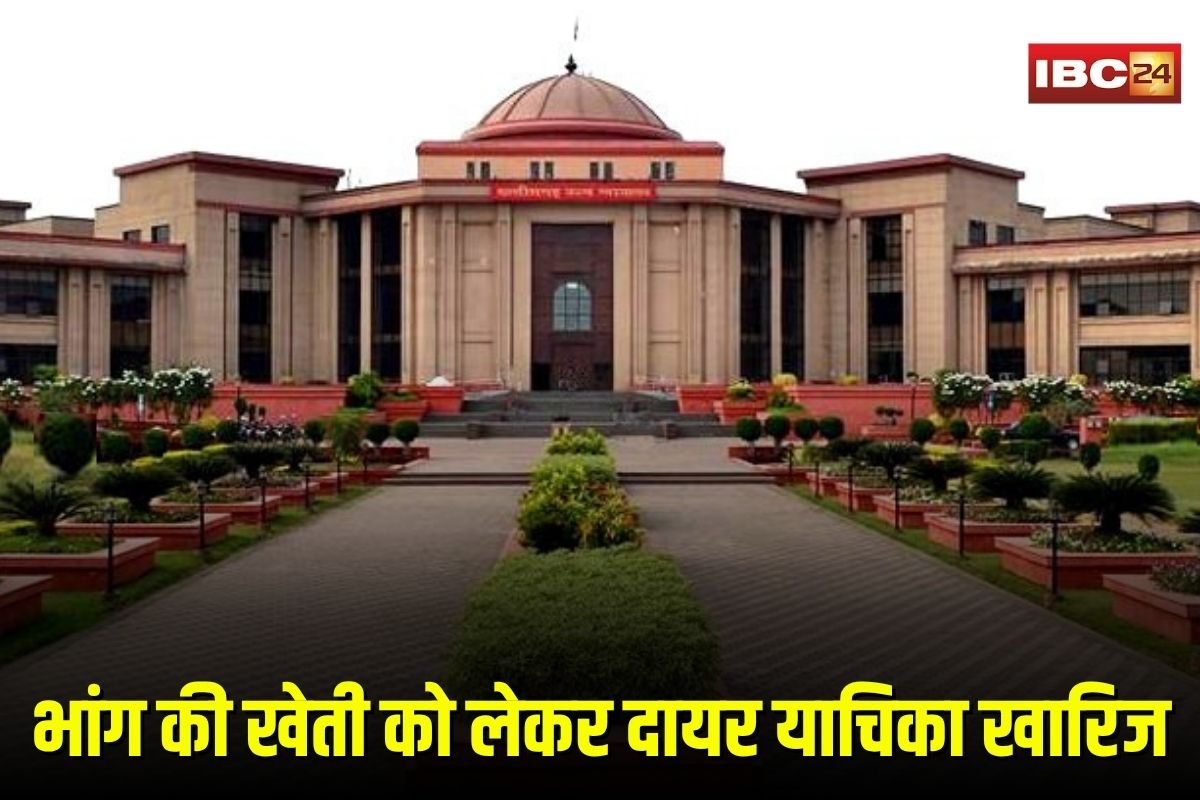 Bilaspur High Court News: छत्तीसगढ़ में भांग की खेती को लेकर दायर याचिका खारिज, हाईकोर्ट ने कहा– जनहित की आड़ में नहीं चलेगा निजी एजेंडा