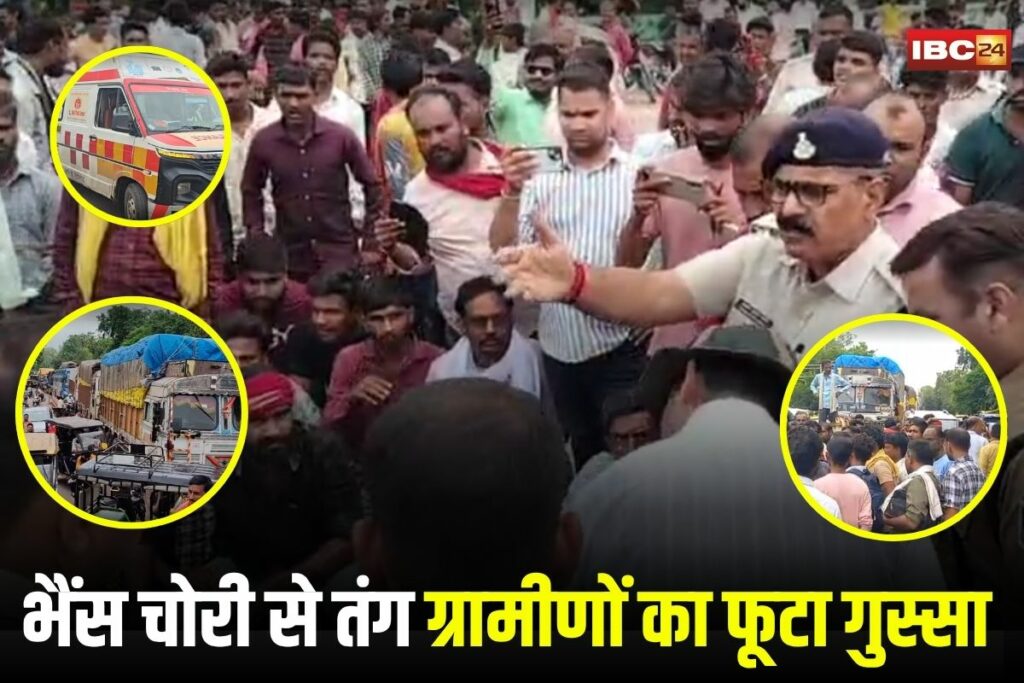 Chhatarpur News, buffalo theft, buffalo theft gang, NH 86 traffic jam, Chhatarpur highway jam, rural protest Chhatarpur, cattle theft India, Chhatarpur villagers protest,