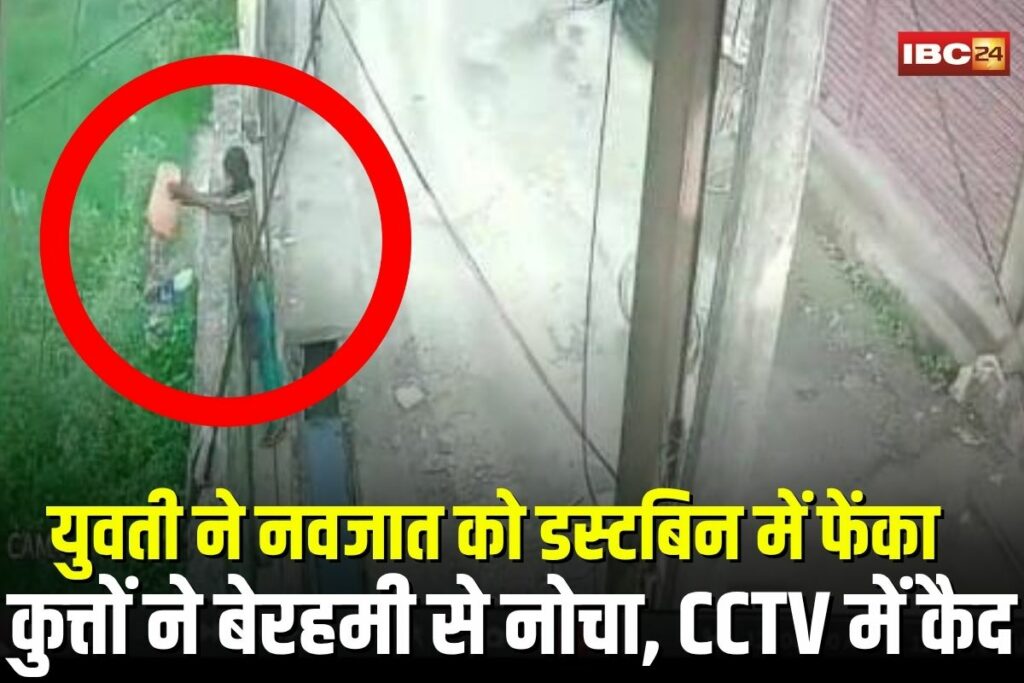 Chhindwara News, , infant dumped, newborn in trash, baby corpse, abandoned baby, Chhindwara police, Kotwali police station, shocking incident India, newborn death, girl dumps baby, baby killing,