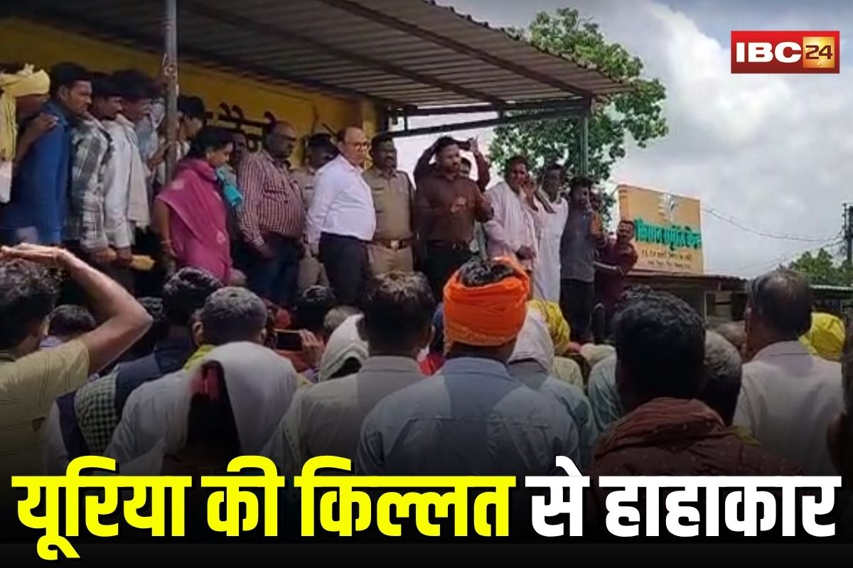 Chhindwara News: यूरिया की किल्लत से हाहाकार, सप्लाई ठप होने पर सड़कों पर उतरे किसान, अब प्रशासन के भरोसे अन्नदाता