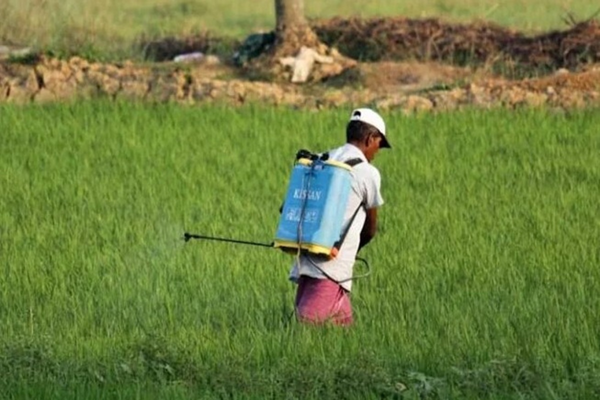 CG News: अब तक 3 लाख से अधिक नैनो DAP की बोतलों का भंडारण, नैनो डीएपी से किसानों को प्रति एकड़ 75 रुपए का लाभ