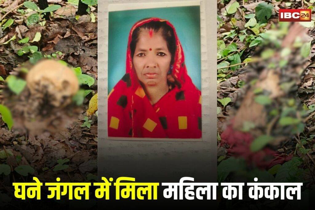 missing woman case, skeleton found in forest, Dhamtari crime news, Borai police station, Chhilgudra jungle case, Basanta Bai missing, unidentified skeleton, Dhamtari news update,