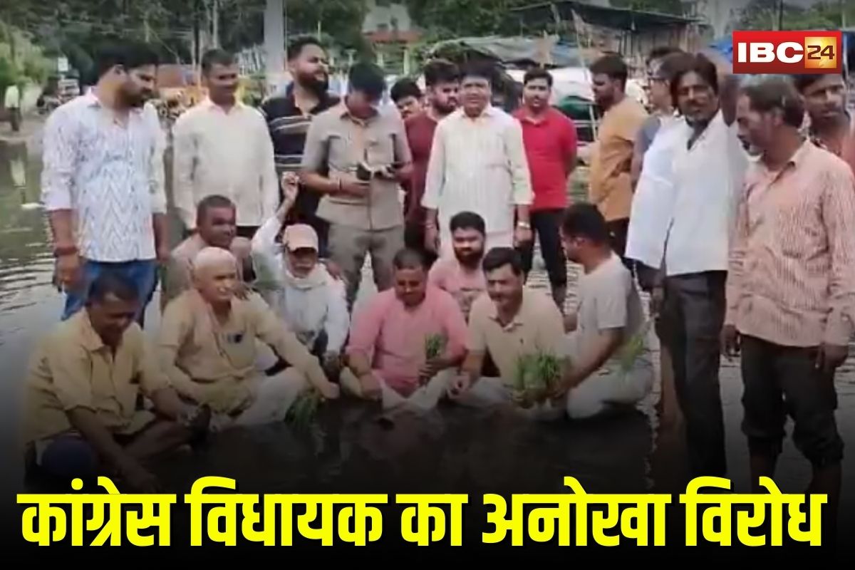 Gwalior News: जलभराव पर कांग्रेस विधायक का अनोखा विरोध, सीवर के पानी में लगाए धान के पौधे, तीन घंटे बैठे धरने पर