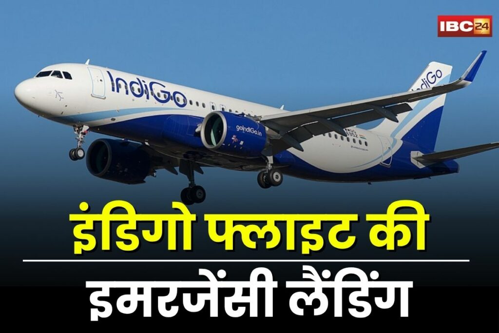 Indigo Flight Emergency Landing, Indore airport emergency, 6E 813 emergency landing, Goa to Indore flight, technical glitch in flight, landing gear failure, Indigo Airlines news, Indore aviation news,
