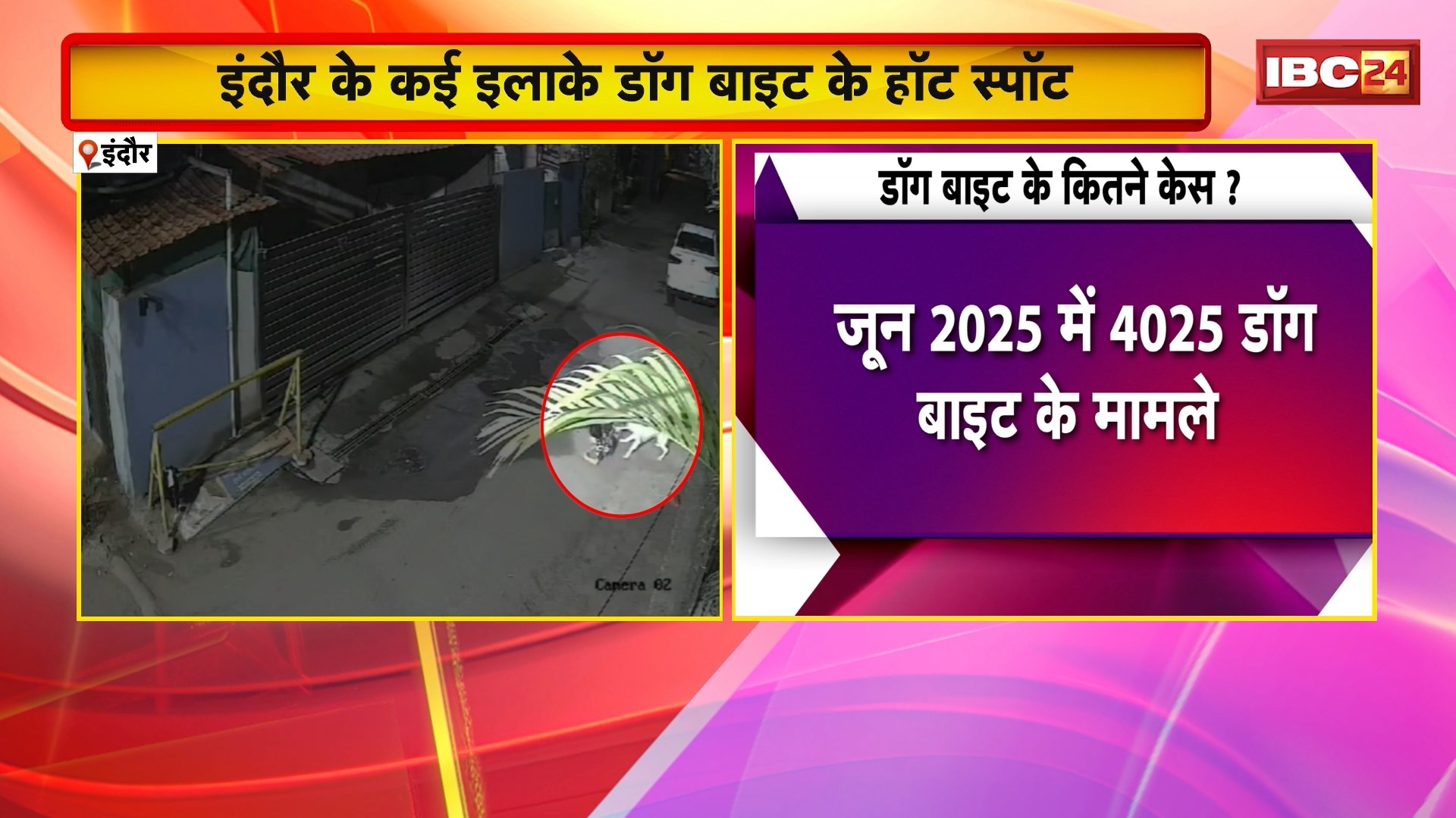 Indore Dog Bite News: शहर के कई इलाके डॉग बाइट के हॉट स्पॉट। जनवरी 2025 से अब तक 26 हजार से ज्यादा डॉग बाइट के मामले। इंदौर की सड़कों पर स्ट्रीट डॉग का खौफ