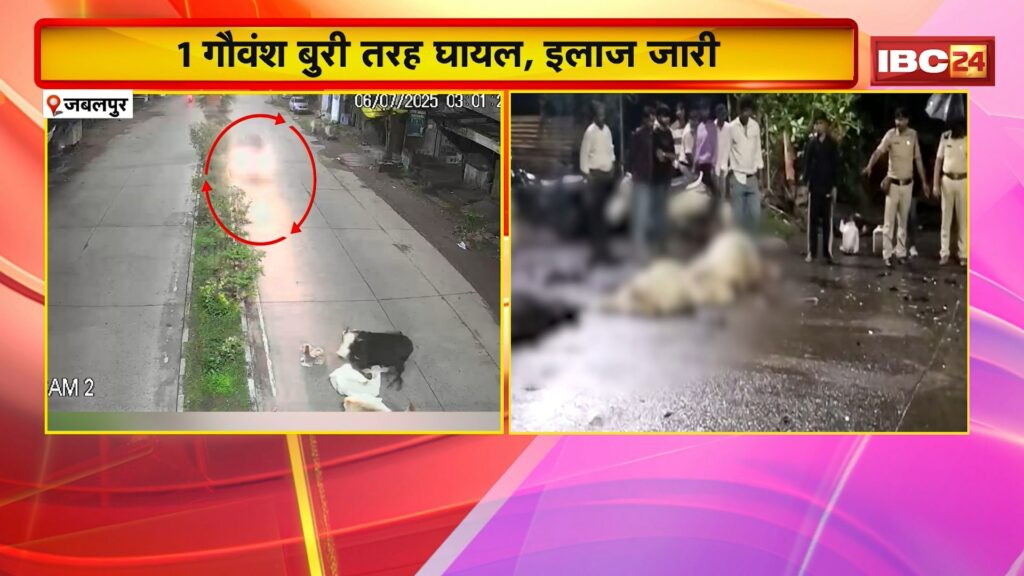 Jabalpur Car Accident News