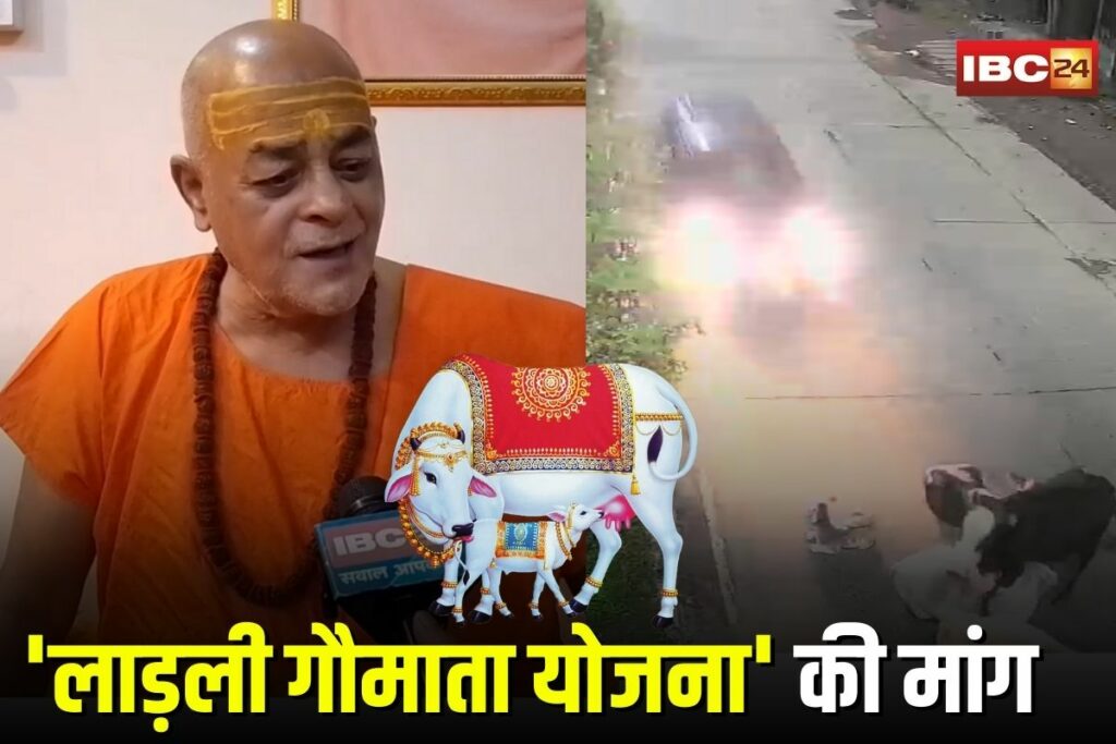 Jabalpur News, Jabalpur news, MP monsoon accidents, stray cattle issue