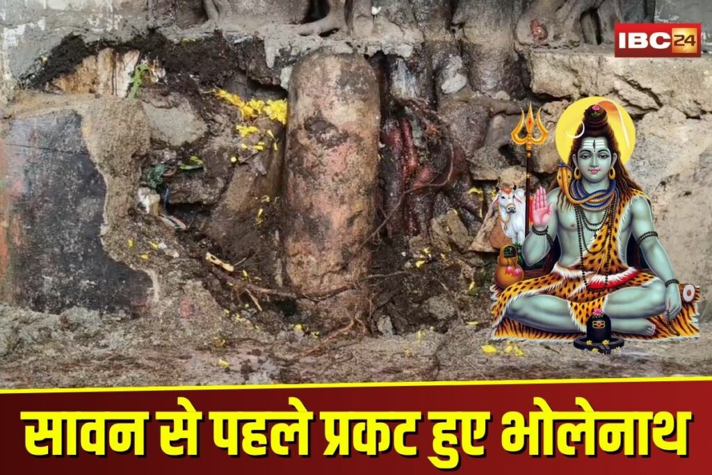 Jagdalpur Shivling | Image Source | IBC24