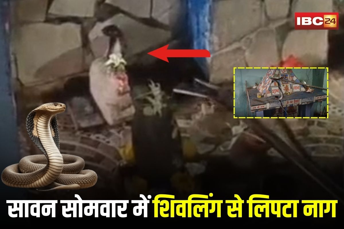 Katni Viral Video: सावन सोमवार पर मंदिर में दिखा चमत्कारी नज़ारा, शिवलिंग से फन फैलाकर लिपटा दिखा नाग, वीडियो हुआ वायरल