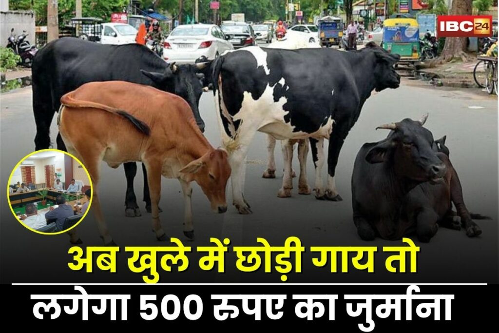 MP News, stray cattle penalty Guna, open cattle fine India, Guna district cow rule, ₹500 fine for stray cows, Kishore Kumar Kanyal order, cattle on roads India, traffic due to stray animals, Guna municipal corporation,