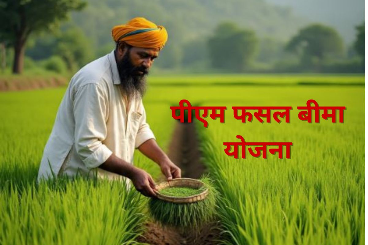 PM Fasal Bima Yojana: बीमा नहीं तो नुकसान तय, 31 जुलाई से पहले खरीफ फसलों को दें सुरक्षा कवच