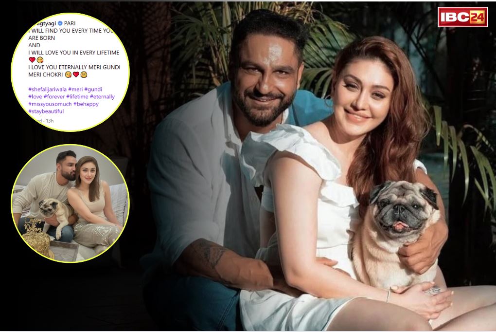Parag Tyagi Tribute Wife Shefali: पत्नी शेफाली को याद कर भावुक हुए पति पराग.. लिखा, “तू जब भी जन्म लोगी, मुझे हमेशा अपने साथ पाओगी”