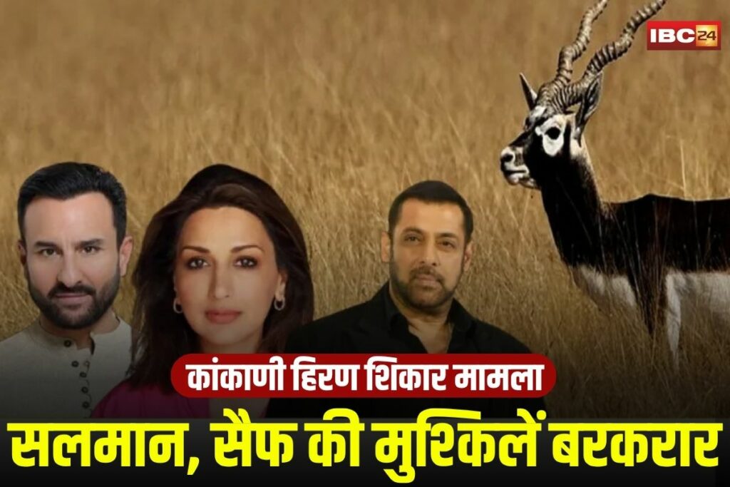 Rajasthan, salman khan blackbuck case, salman khan poaching case, kankani deer case, jodhpur high court, blackbuck poaching, salman khan court hearing, saif ali khan case, bollywood poaching case, salman khan appeal,