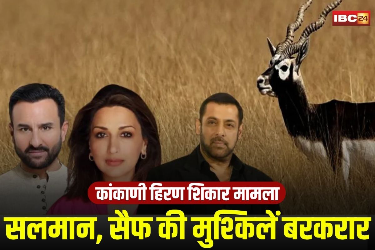Rajasthan: कांकाणी हिरण शिकार मामले में सलमान, सैफ की मुश्किलें बरकरार, अब 22 सितंबर को हाईकोर्ट में होगी एकसाथ सुनवाई