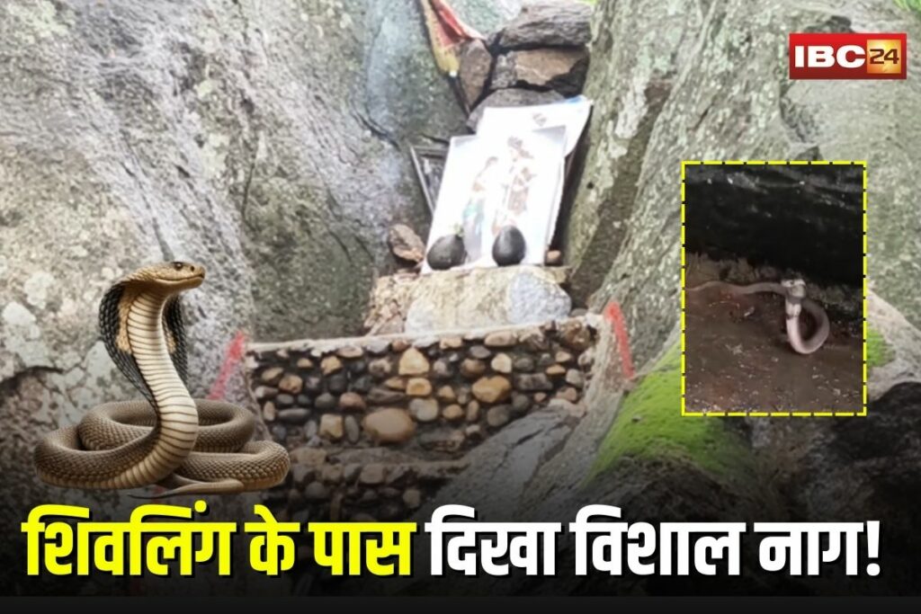 Sawan Somwar 2025, Balrampur Shiv Temple, Nag Devta sighting, Shiva devotees, Sawan Shivratri, miraculous snake sighting, Shivling miracle, Nag around Shivling, Bholenath miracle,