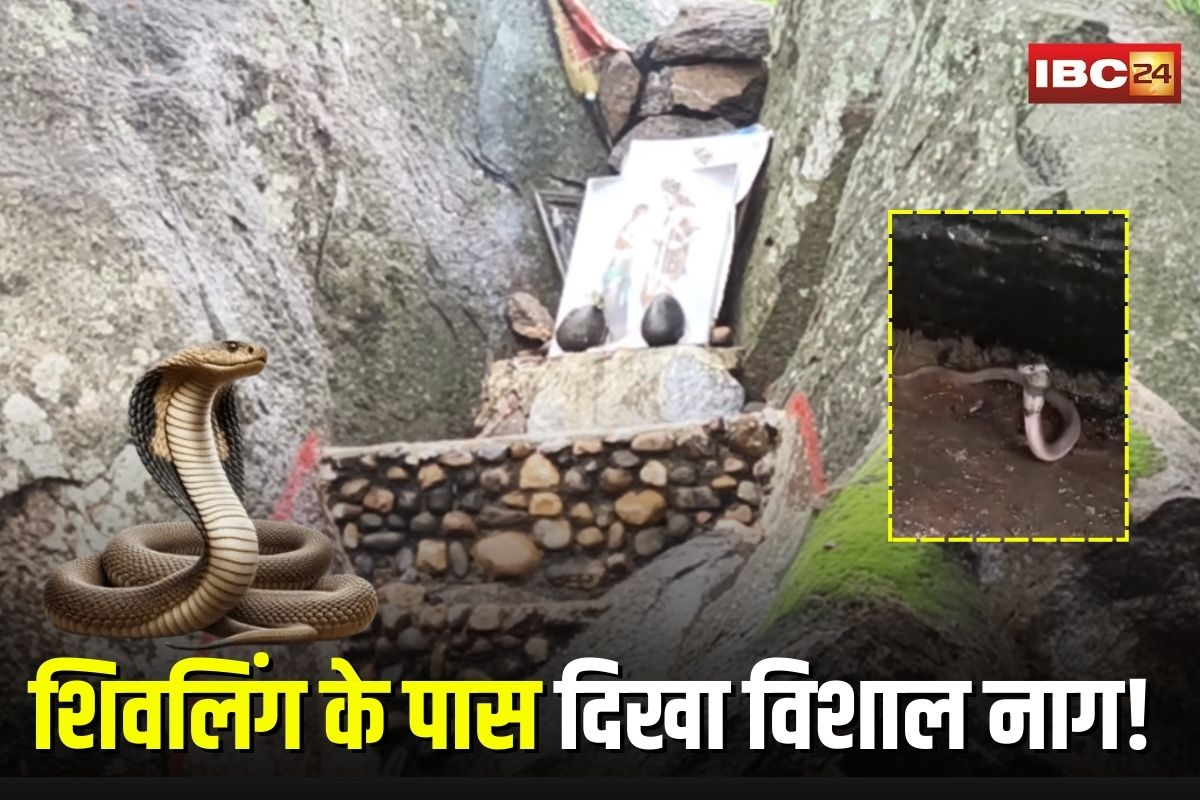 Sawan Somwar 2025: भगवान भोलेनाथ का चमत्कार! सावन के पहले सोमवार को शिवलिंग के पास दिखा विशाल नाग, देखने उमड़ी श्रद्धालुओं की भीड़, वीडियो वायरल Sawan Somwar 2025: भगवान भोलेनाथ का चमत्कार! सावन के पहले सोमवार को शिवलिंग के पास दिखा विशाल नाग, देखने उमड़ी श्रद्धालुओं की भीड़, वीडियो वायरल