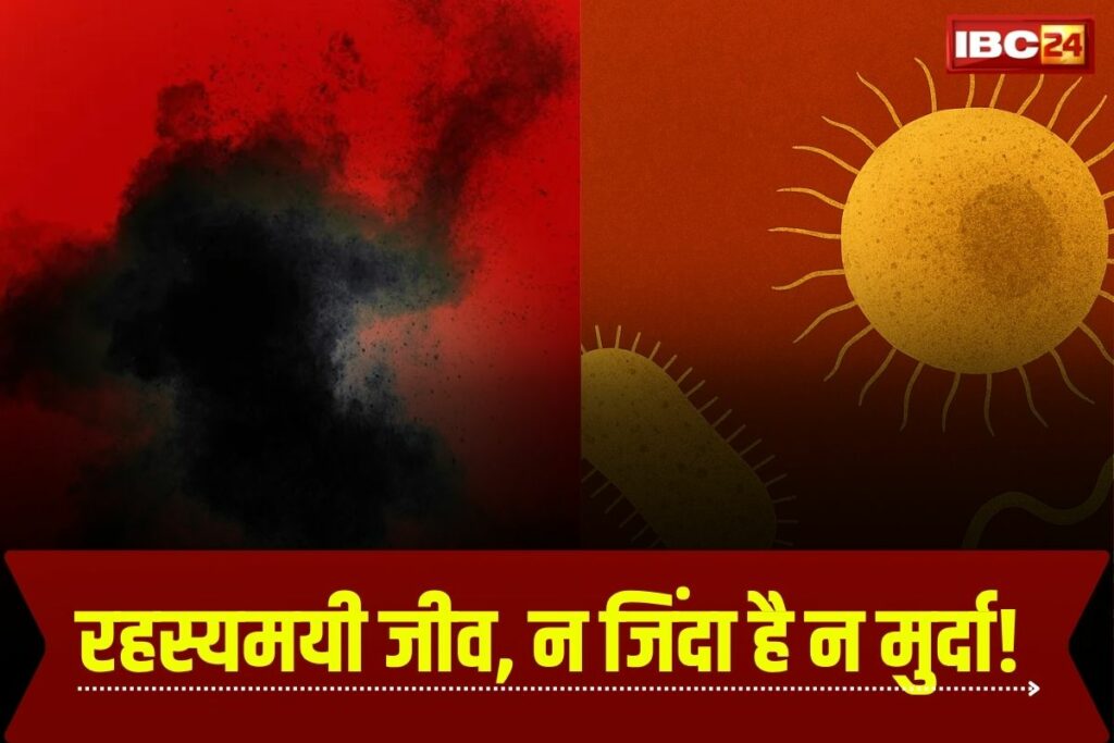 Sukunaarchaeum Mirabile