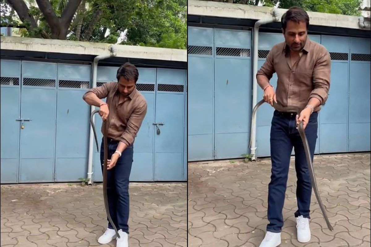 Sonu Sood Video: अभिनेता की सोसाइटी में निकला सांप, सोनू सूद ने बिना डरे किया ये काम, लोग बोले- सुपरहीरो हो आप