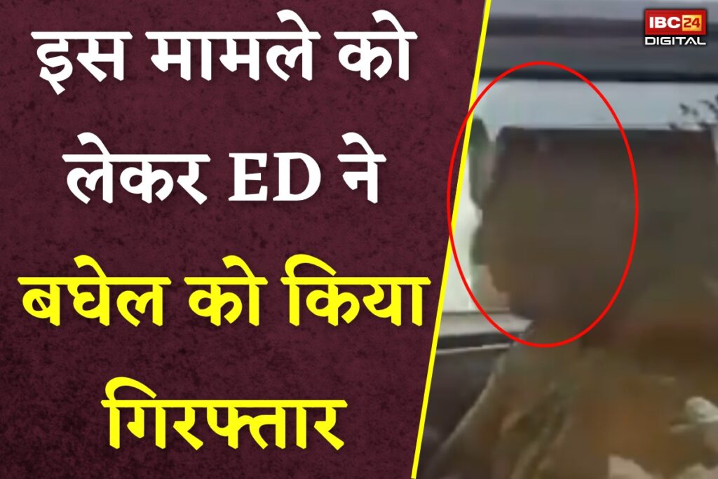 Bhupesh Baghel's son Arrested: पूर्व सीएम भूपेश बघेल का बेटा चैतन्य बघेल गिरफ्तार / Image Source: IBC24 Customized