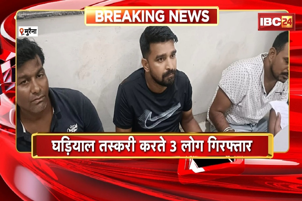 Crocodile Smuggler Arrested: घड़ियालों की तस्करी के आरोप में तीन लोग गिरफ्तार, पुलिस ने बरामद किए 30 बच्चे Crocodile Smuggler Arrested: घड़ियालों की तस्करी के आरोप में तीन लोग गिरफ्तार, पुलिस ने बरामद किए 30 बच्चे