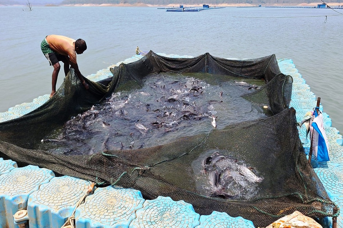 Aqua Park in CG: हसदेव डुबान बनेगा छत्तीसगढ़ का पहला एक्वापार्क, उत्पादन प्रोसेसिंग से लेकर एक्वा टूरिजम से बढ़ेगी ग्रामीणों की आय