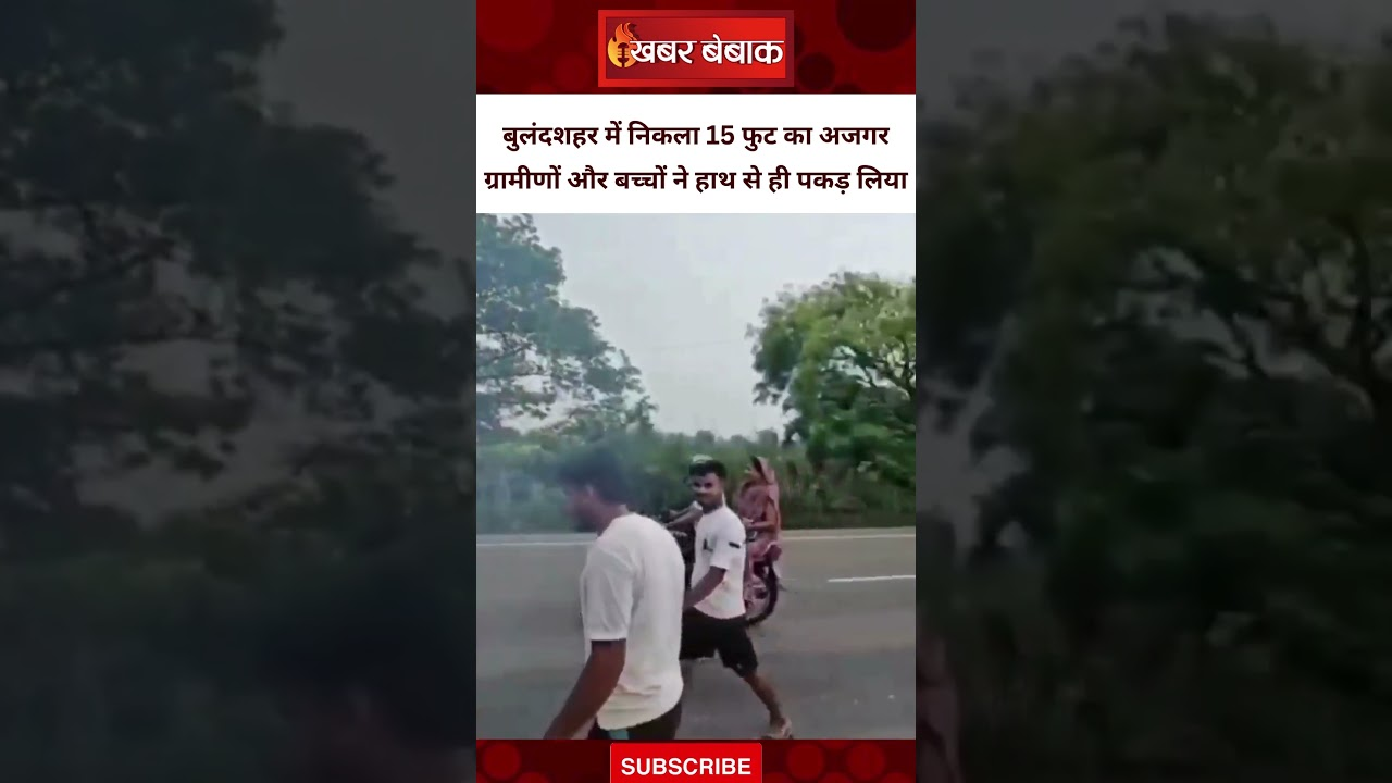 बुलंदशहर में 15 फुट का अजगर निकल आया।  ग्रामीणों और बच्चों ने हाथ से ही पकड़ लिया