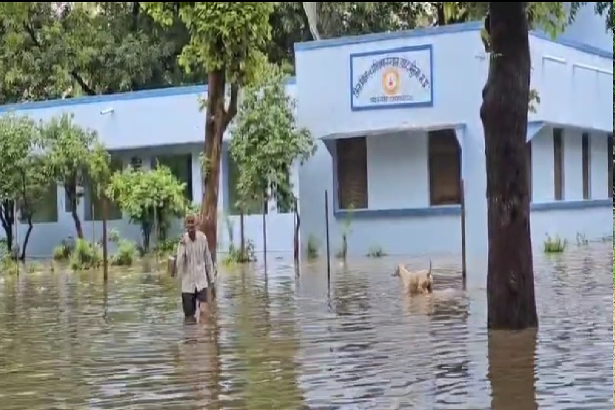 Morena News: BTI-DEO कार्यालय और सरकारी आवासों में भरा पानी, शहरवासियों के लिए आफत बनी बारिश