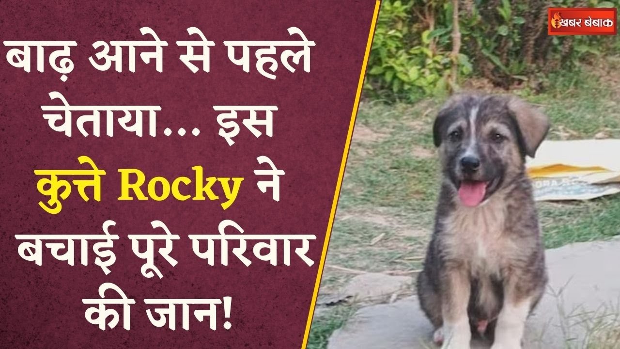 बाढ़ आने से पहले चेताया… Dogesh Rocky ने बचाई पूरे परिवार की जान! Himachal Pradesh Floods