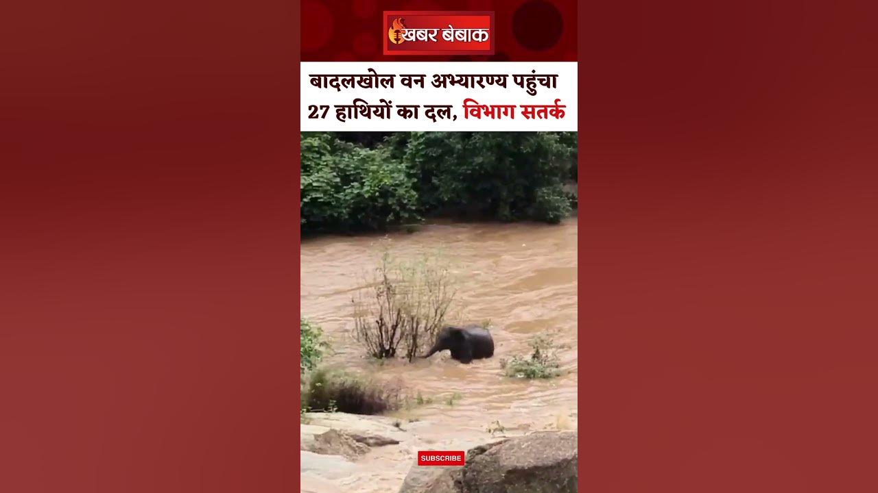 CG News: बादलखोल अभ्यारण्य पहुंचा 27 हाथियों का दल। CG Badalkhol Forest Sanctuary। Elephant Group