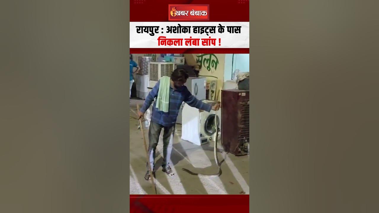 Raipur News: Ashoka Heights के पास निकला लंबा सांप