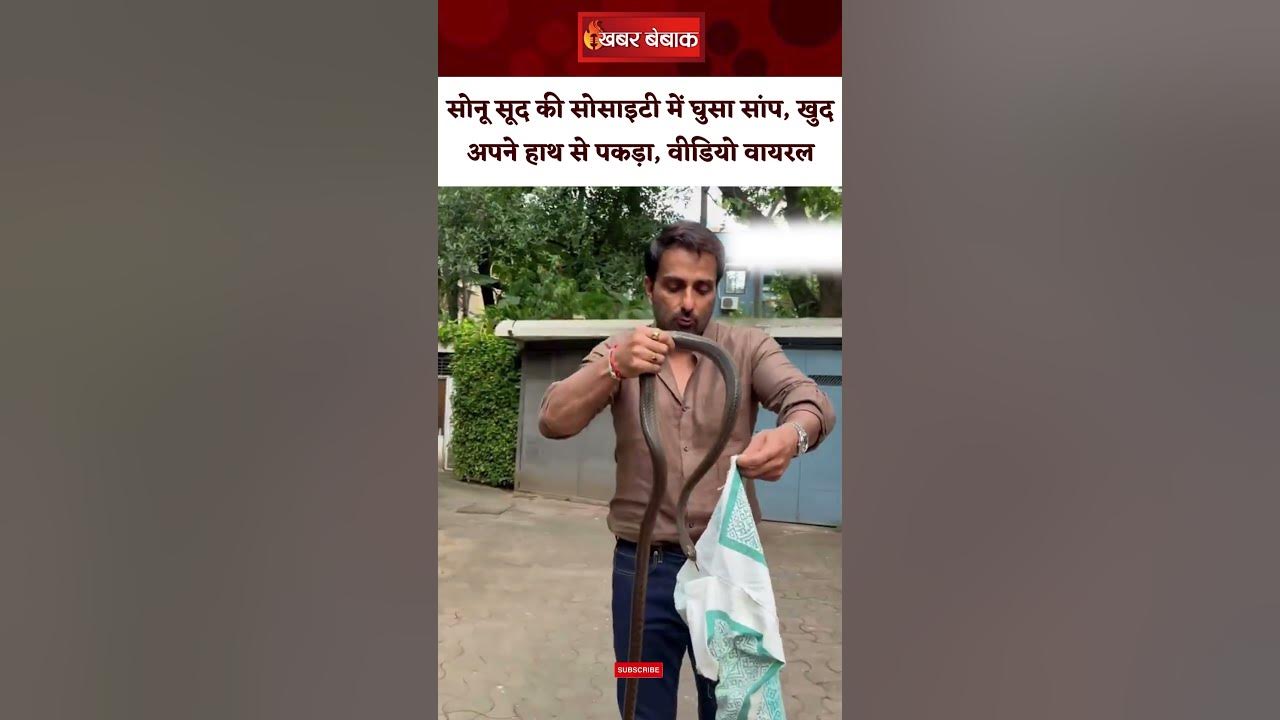 Sonu Sood की सोसाइटी में घुसा सांप, खुद अपने हाथ से पकड़ा, वीडियो वायरल | Viral Video