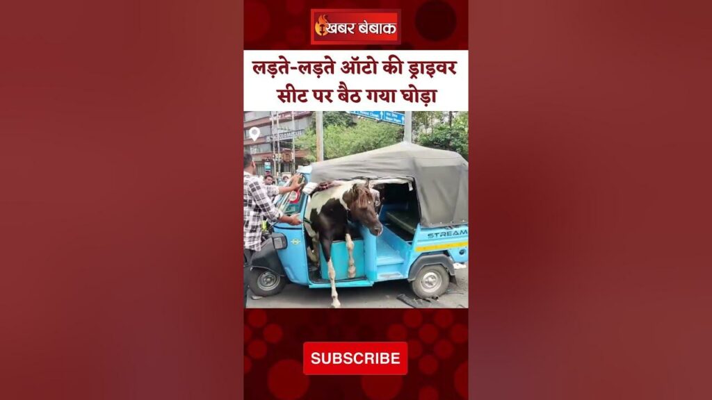 Madhya Pradesh Viral Video