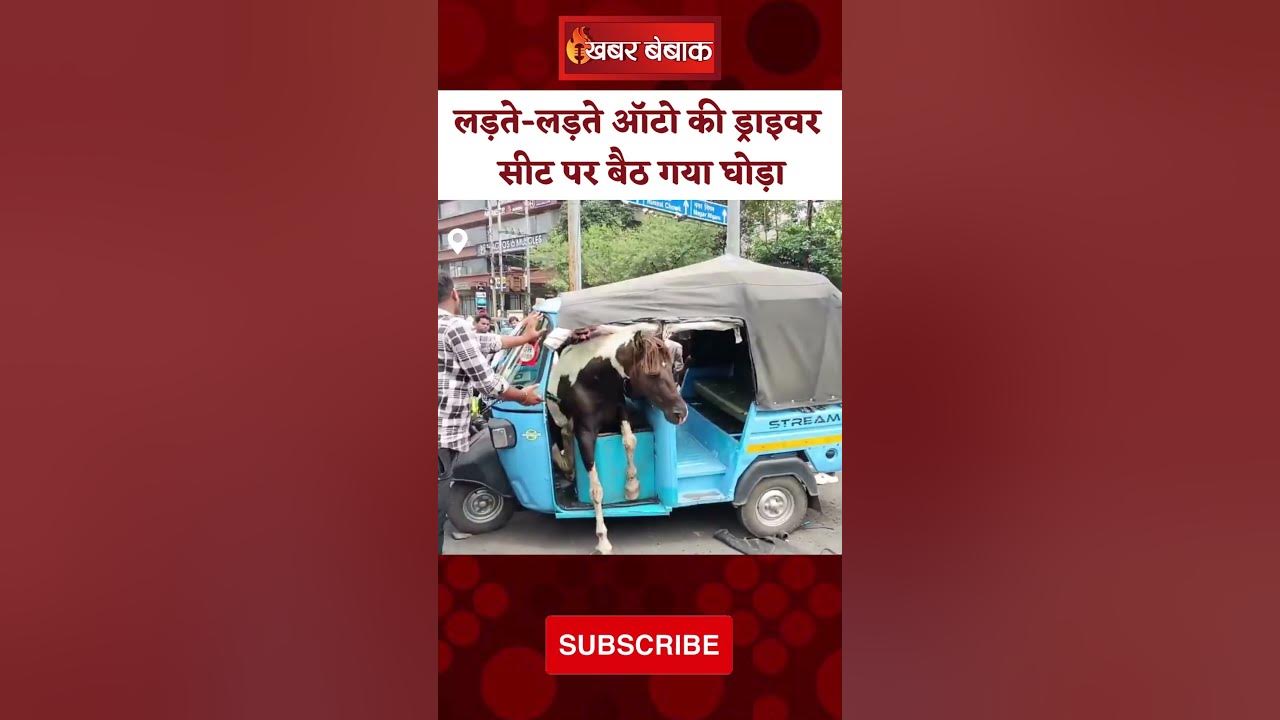 लड़ते-लड़ते ऑटो की ड्राइवर सीट पर बैठ गया घोड़ा | Madhya Pradesh Viral Video