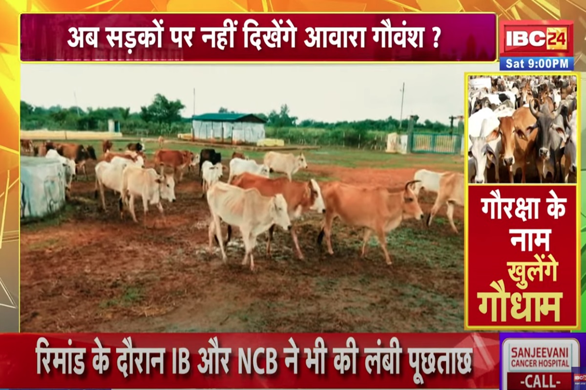 Vande Bharat: गौरक्षा के नाम, छत्तीसगढ़ में खुलेंगे गौधाम! आवारा पशुओं की सुरक्षा के लिए खास पहल, जानिए क्या ये योजना