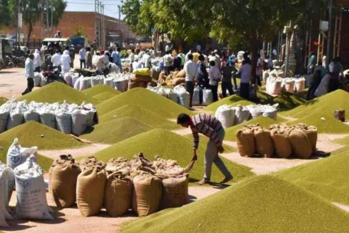 Jabalpur News: धान-गेहूं के बाद अब मूंग खरीदी में घोटाला, फर्जी किसानों के नाम पर लाखों की हेराफेरी, जांच शुरू