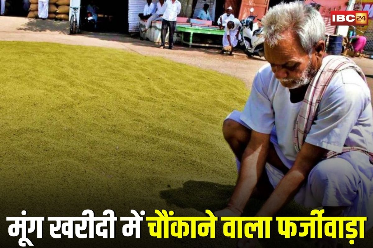 Jabalpur News: इन गरीब किसानों के नाम पर हो गया करोड़ों का घोटाला, असली मालिकों को नहीं मिली न उपज की कीमत, न खाद, जानिए मूंग घोटाले की पूरी कहानी