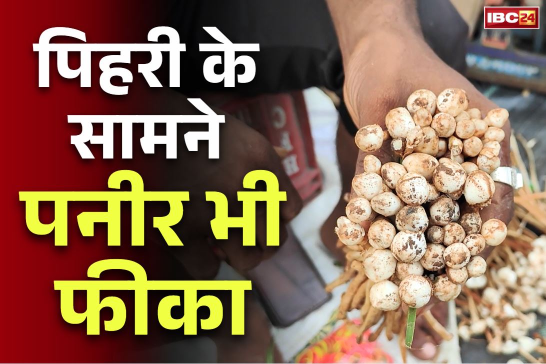 Manendragarh Latest News: छत्तीसगढ़िया पिहरी.. कीमत और जायके में पनीर भी इससे पीछे, बाजार की कीमत जानकर छूट जायेंगे पसीने