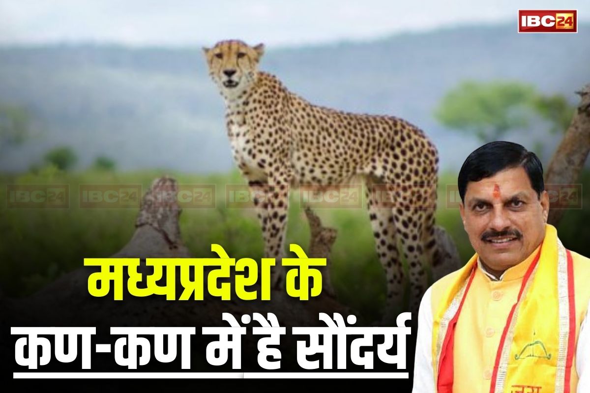 मध्यप्रदेश के कण-कण में है सौंदर्य