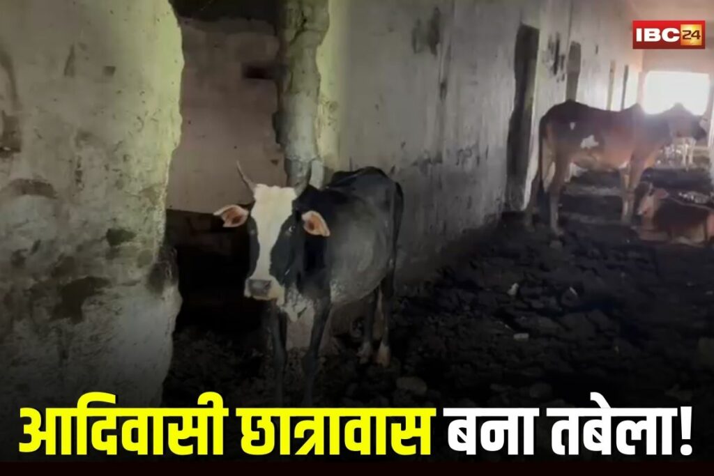 Raipur News, tribal hostel scam, abandoned hostel Raipur, IBC24 Operation Ravan, hostel turned cowshed, Chhattisgarh corruption, tribal development scam, Raipur government negligence, hostel misuse Raipur, tribal welfare department, hostel handover issue,
