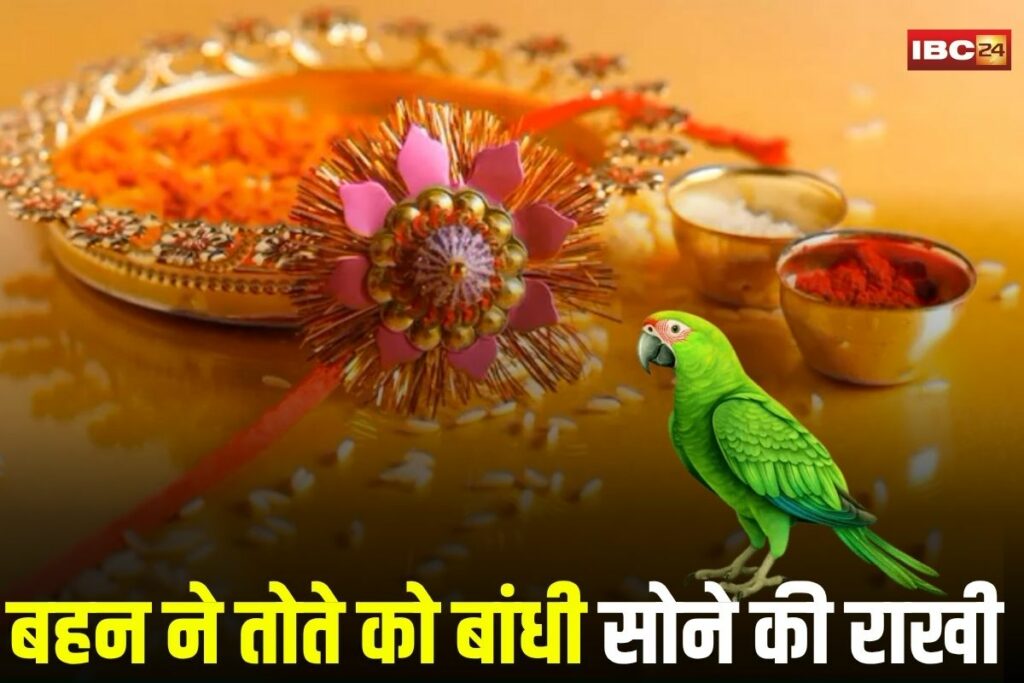 Raksha Bandhan 2025, Unique Rakhi Story, Sister Parrot Bond, Girl Ties Rakhi to Parrot, Animal Brother Rakhi, Swarna Rakhi to Parrot, Ambikapur News, Rakhi with Parrot, Emotional Rakhi Story, Swarna Rakhi 2025, To Parrot as Brother, Unusual Raksha Bandhan,