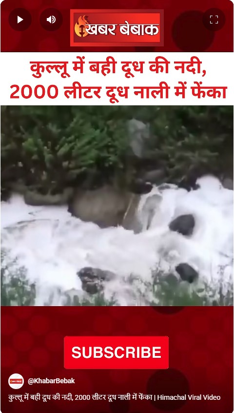 कुल्लू में बही दूध की नदी, 2000 लीटर दूध नाली में फेंका | Himachal Viral Video