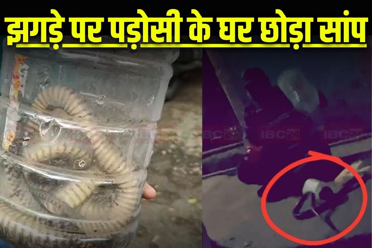 Vidisha News: इस शख्स ने पड़ोसी के घर छोड़ दी नाग-नागिन! इस बात को लेकर हुआ था विवाद, वीडियो देख रह जाएंगे हैरान