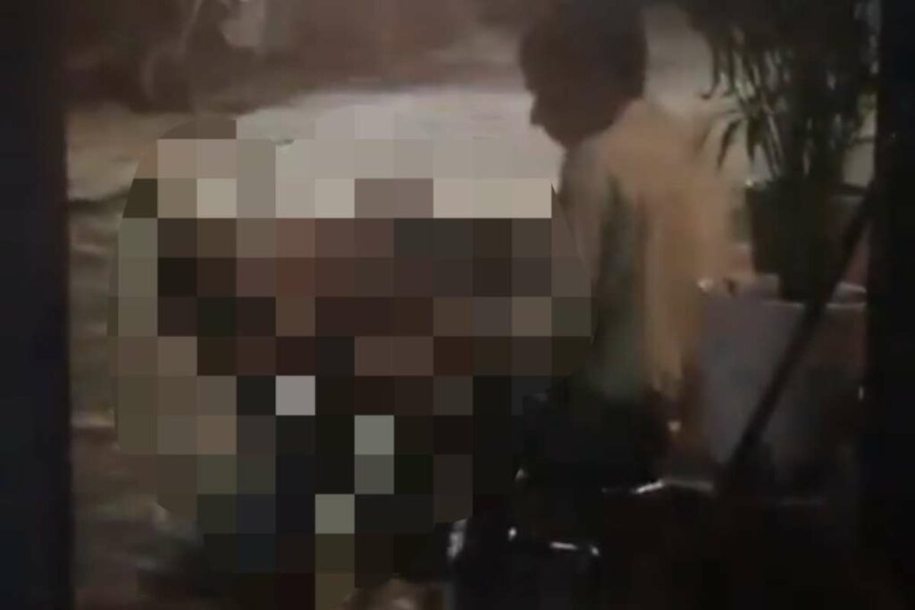 Sex With Street Dog: राजधानी में 24 साल के युवक ने स्ट्रीट डॉग के साथ किया सेक्स / Image Source: X